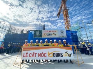 cat noc du an bcons bee